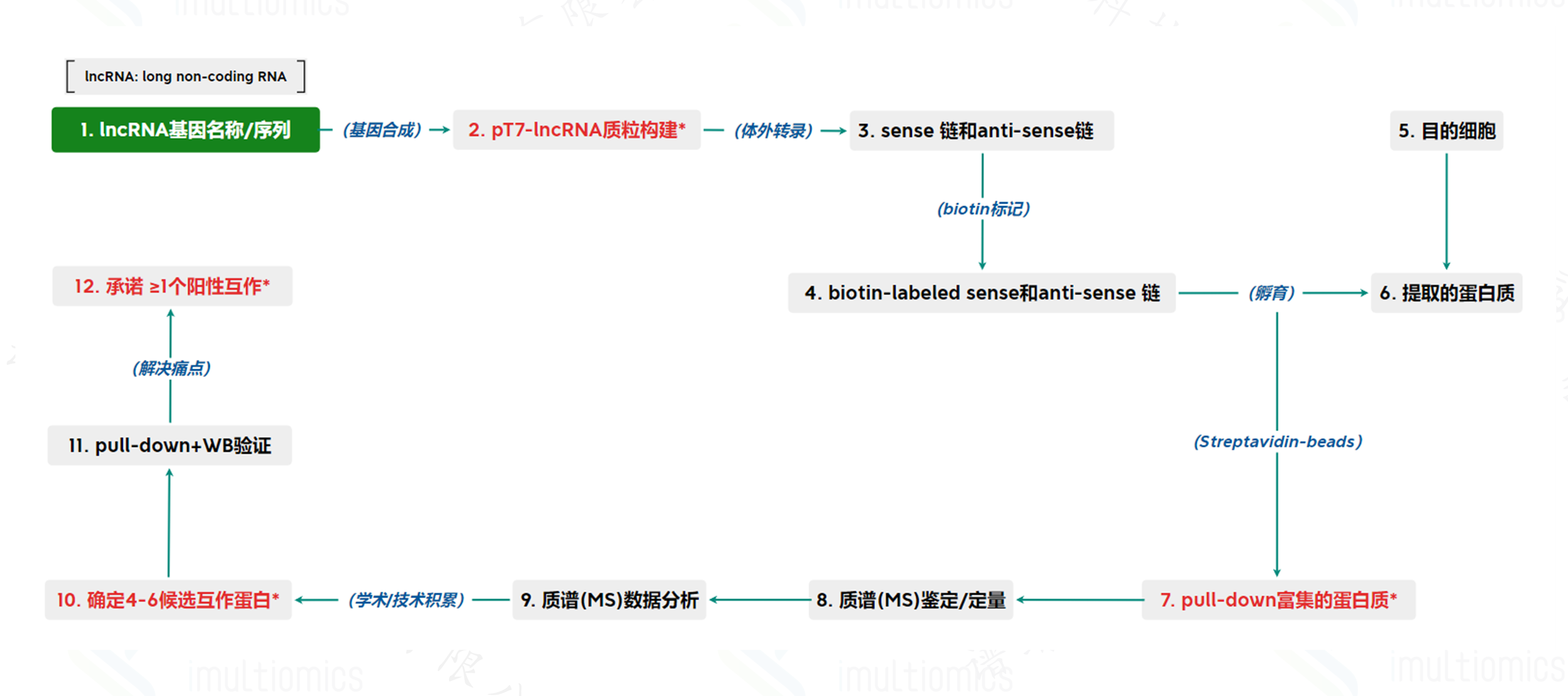 lncRNA_PD_MS_1