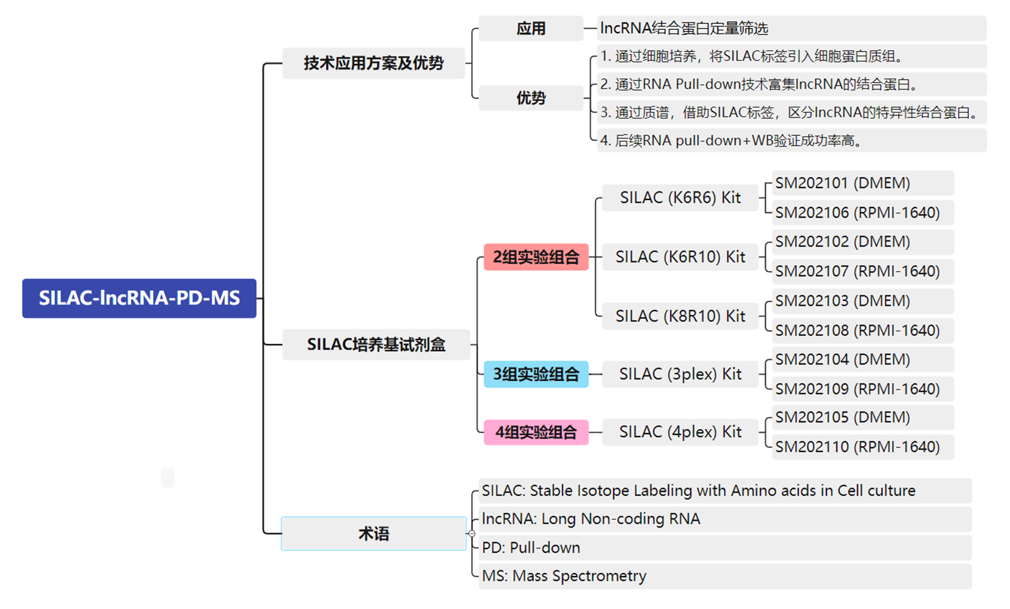 SILAC-lncRNA-PD-MS_2